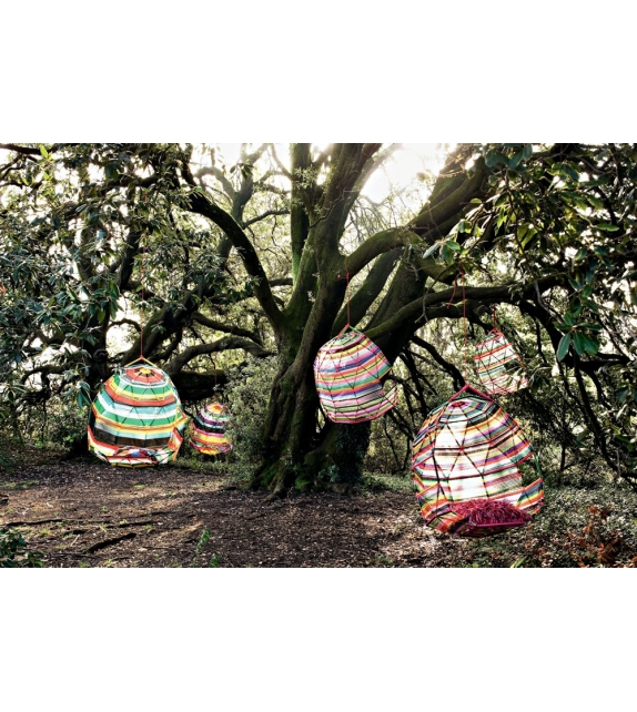 Tropicalia  Moroso Cocoon