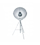 Fortuny Pallucco Floor Lamp