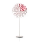 Coral Pallucco Floor Lamp