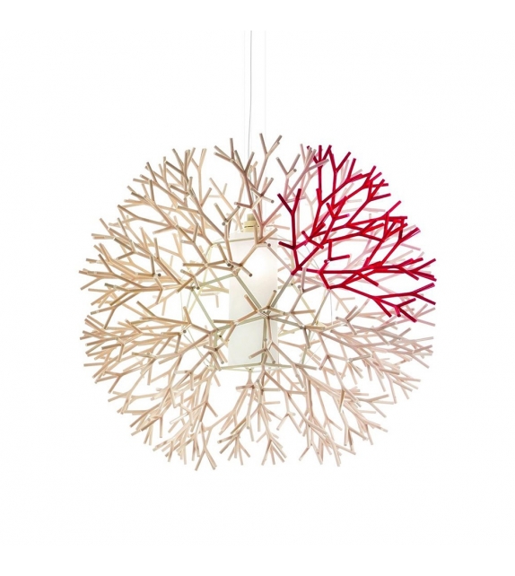 Coral Pallucco Suspension