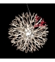 Coral Pallucco Suspension Lamp
