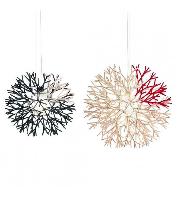 Coral Pallucco Suspension