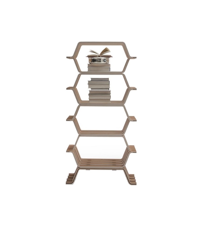 MHC.2 Molteni & C Bookcase