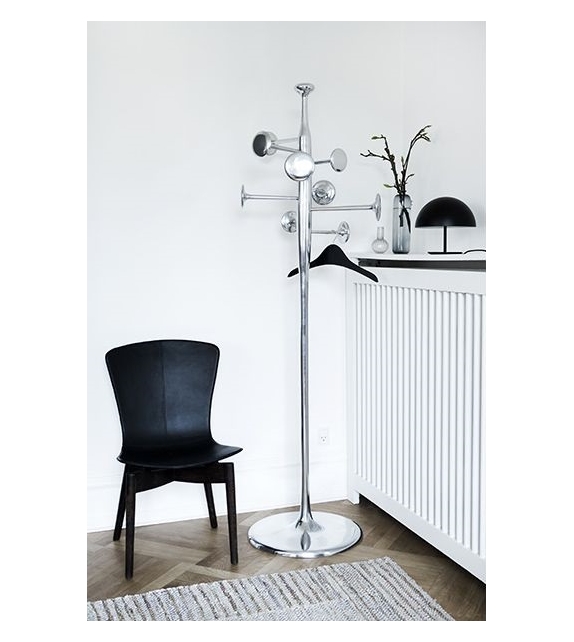 Trumpet Mater Appendiabiti