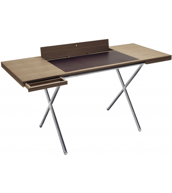 Novelist Lema Bureau