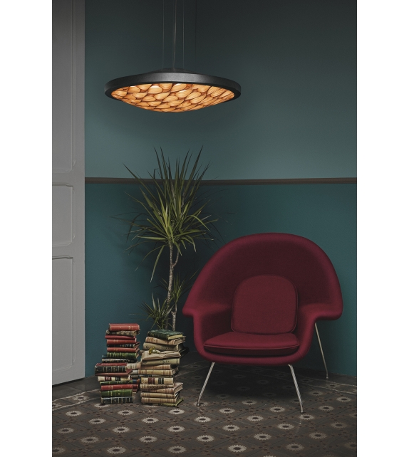 Cervantes S LZF Suspension