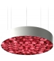 Spiro LZF Pendant Lamp