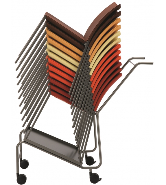 2080 Talia Zanotta Silla