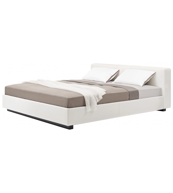 Yuuto Walter Knoll Cama