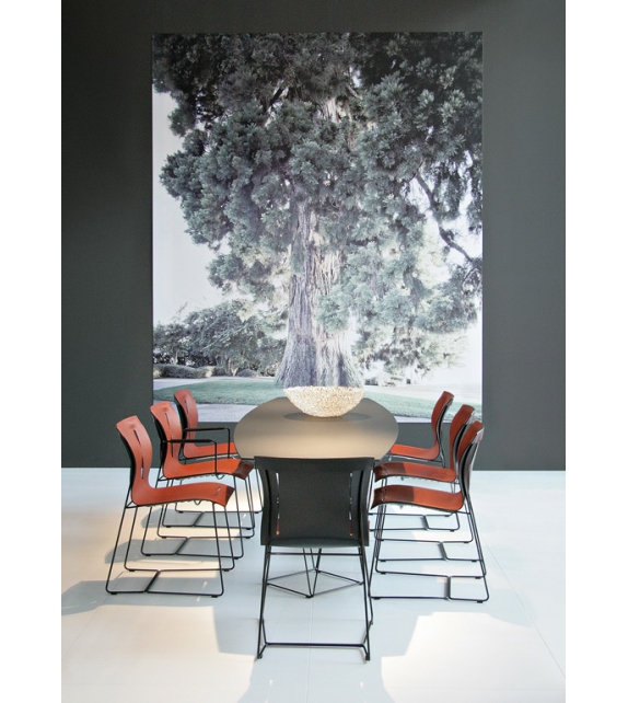 Cuoio Walter Knoll Stuhl