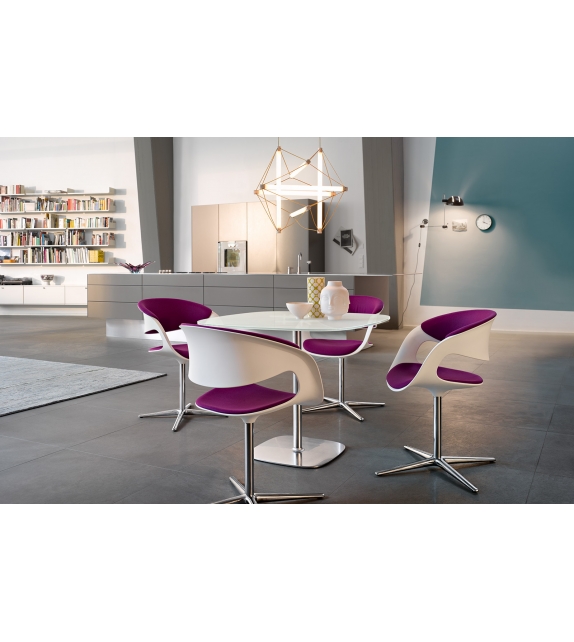 Lox Walter Knoll Mesa