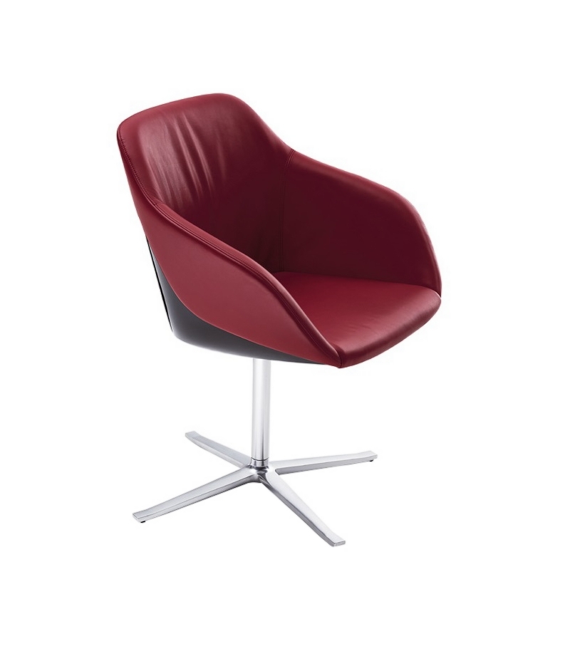 Turtle Walter Knoll Chair