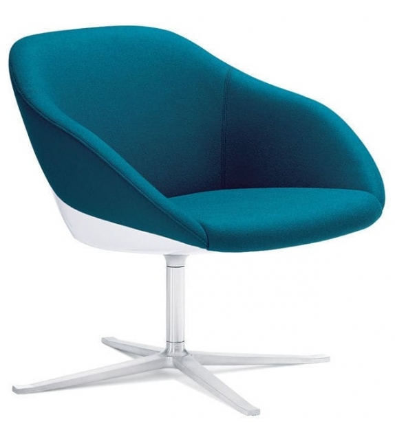 Turtle Walter Knoll Poltrona