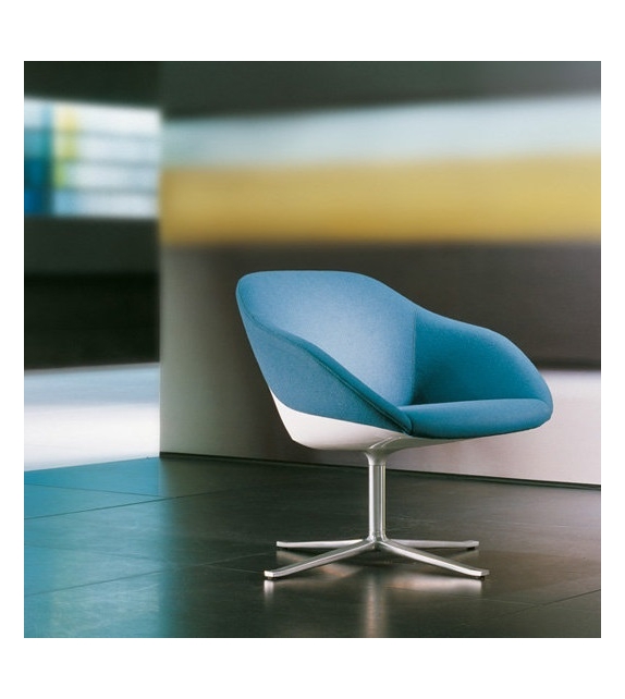 Turtle Walter Knoll Poltrona