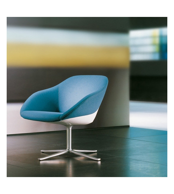 Turtle Walter Knoll Poltrona