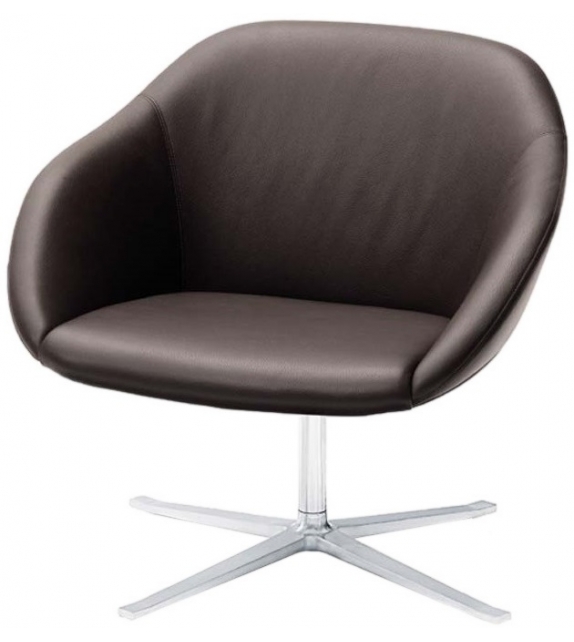 Turtle Walter Knoll Poltrona