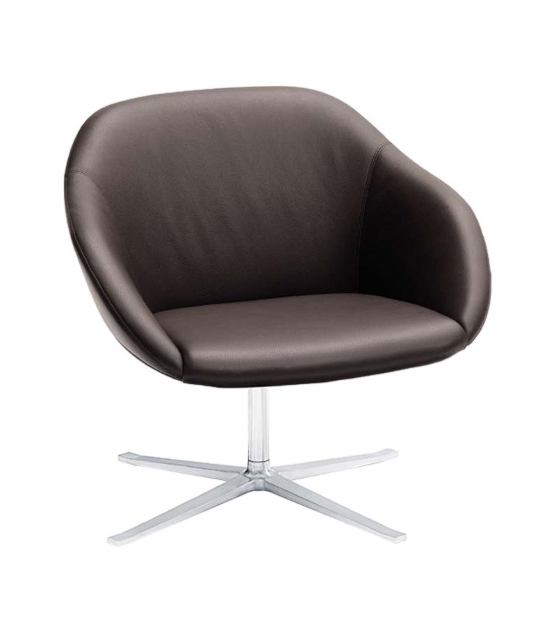 Turtle Walter Knoll Poltrona