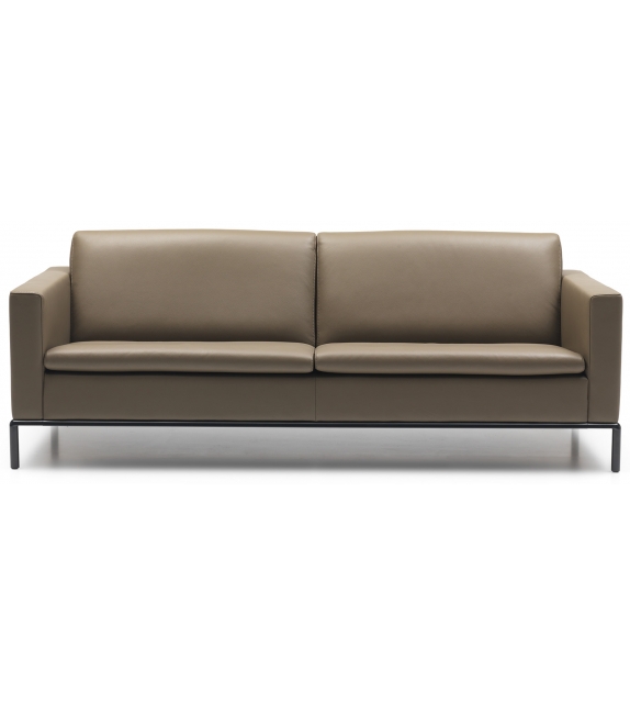 DS-4 De Sede Sofa