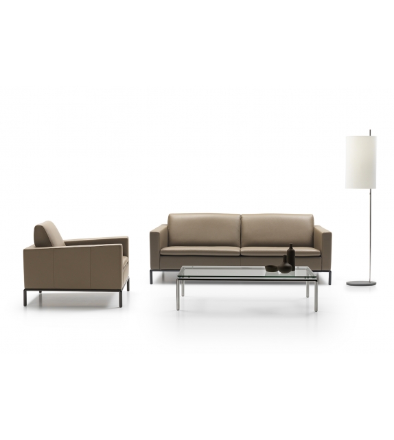 DS-4 De Sede Sofa