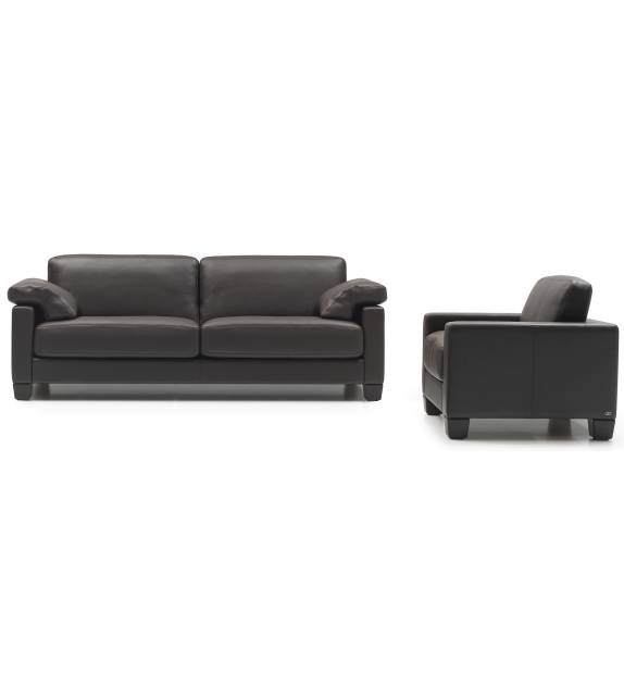 DS-17 De Sede Sessel