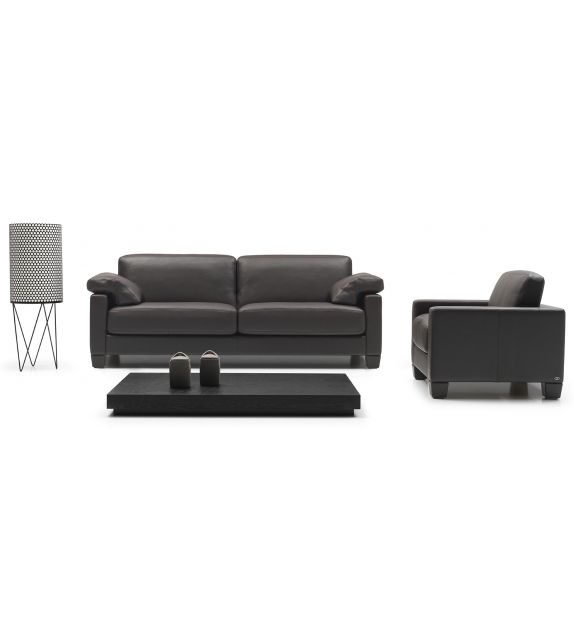 DS-17 De Sede Armchair