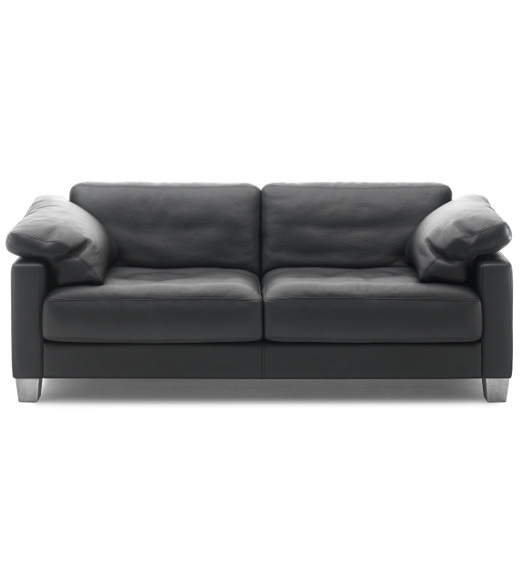 DS-17 De Sede Sofa