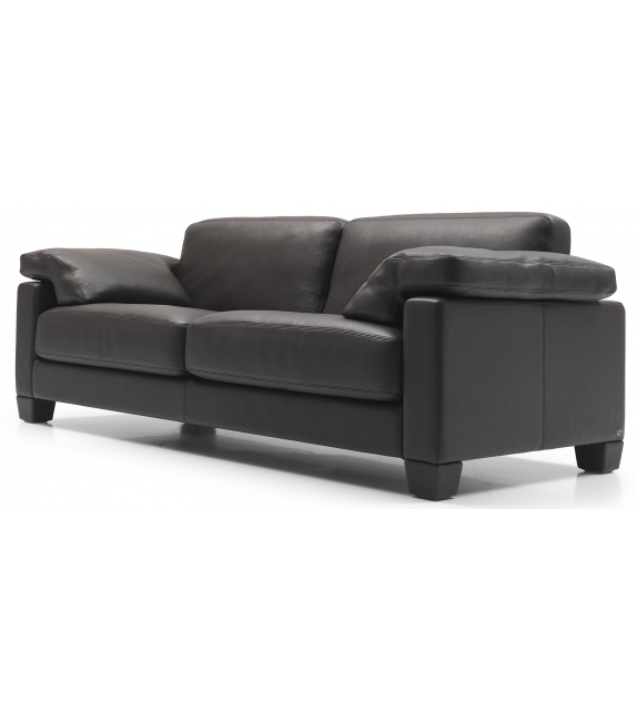 DS-17 De Sede Sofa
