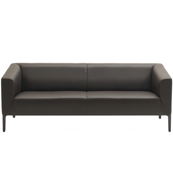 DS-161 De Sede Divano