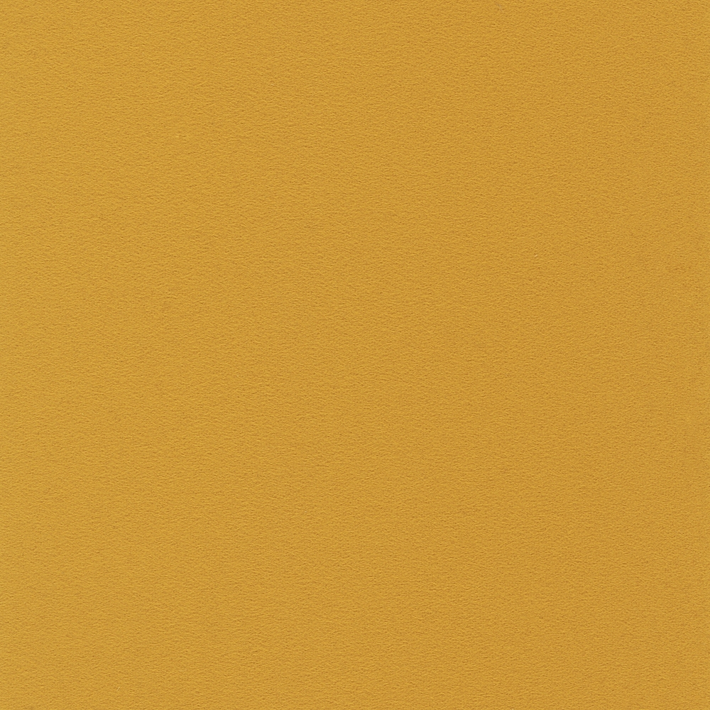 LP_AltUni_A4668RS_31_Curry