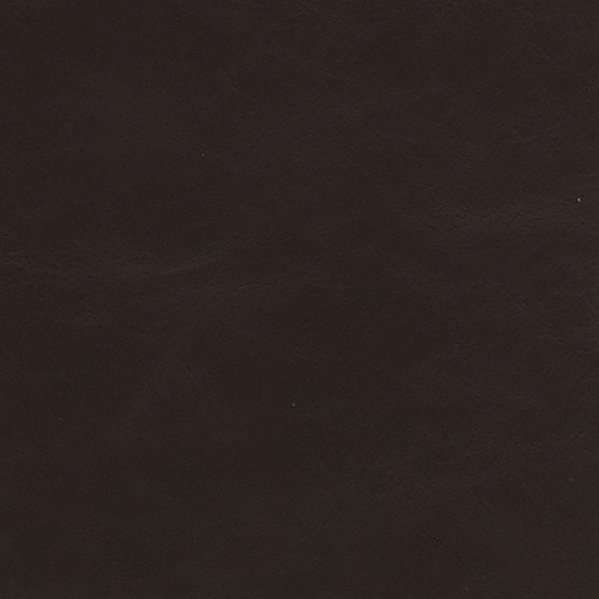 Pelle Frau ® Heritage_ Testa di Moro