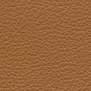 Pelle Frau® SC_ 66 India