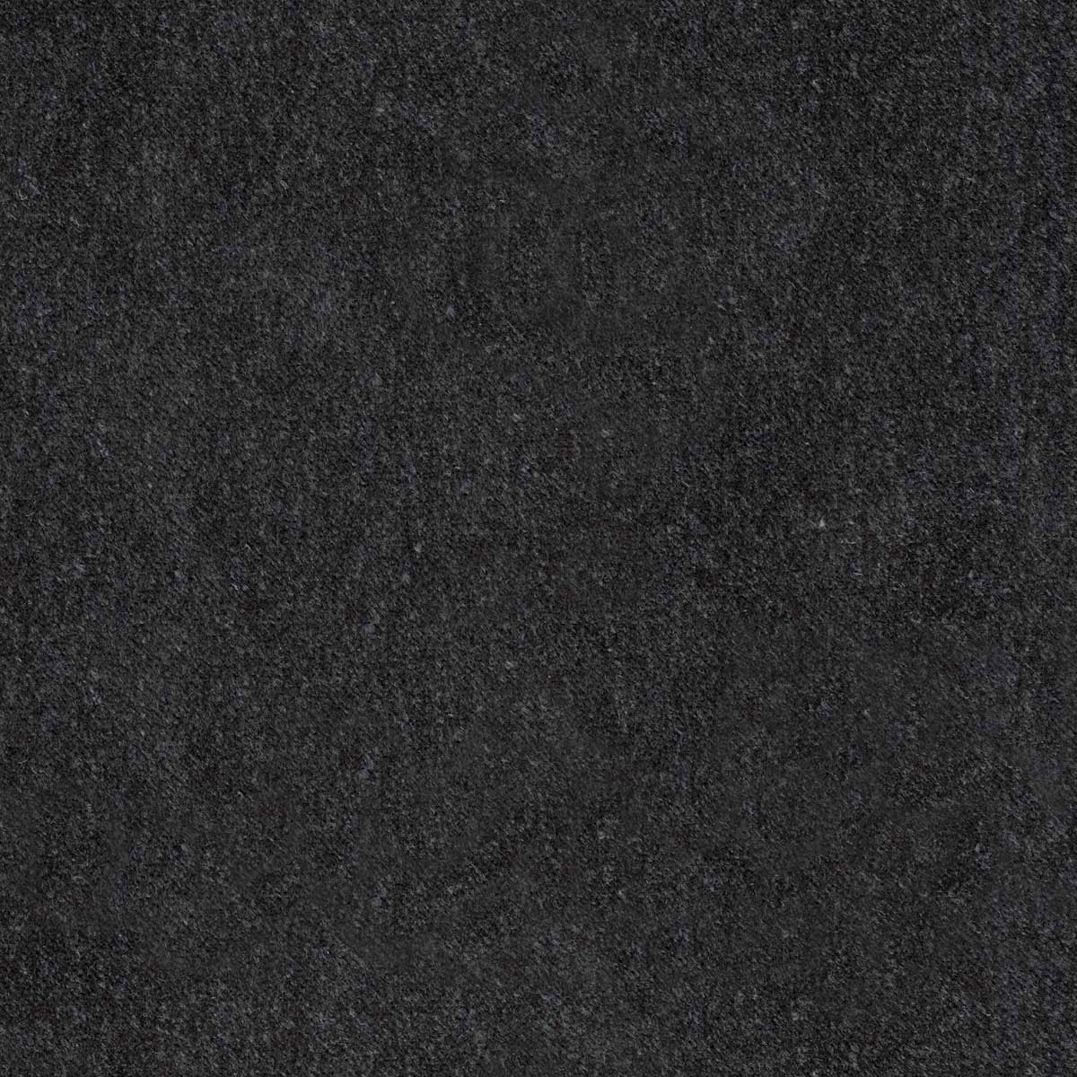 Barkley_ 30-Testa di Moro