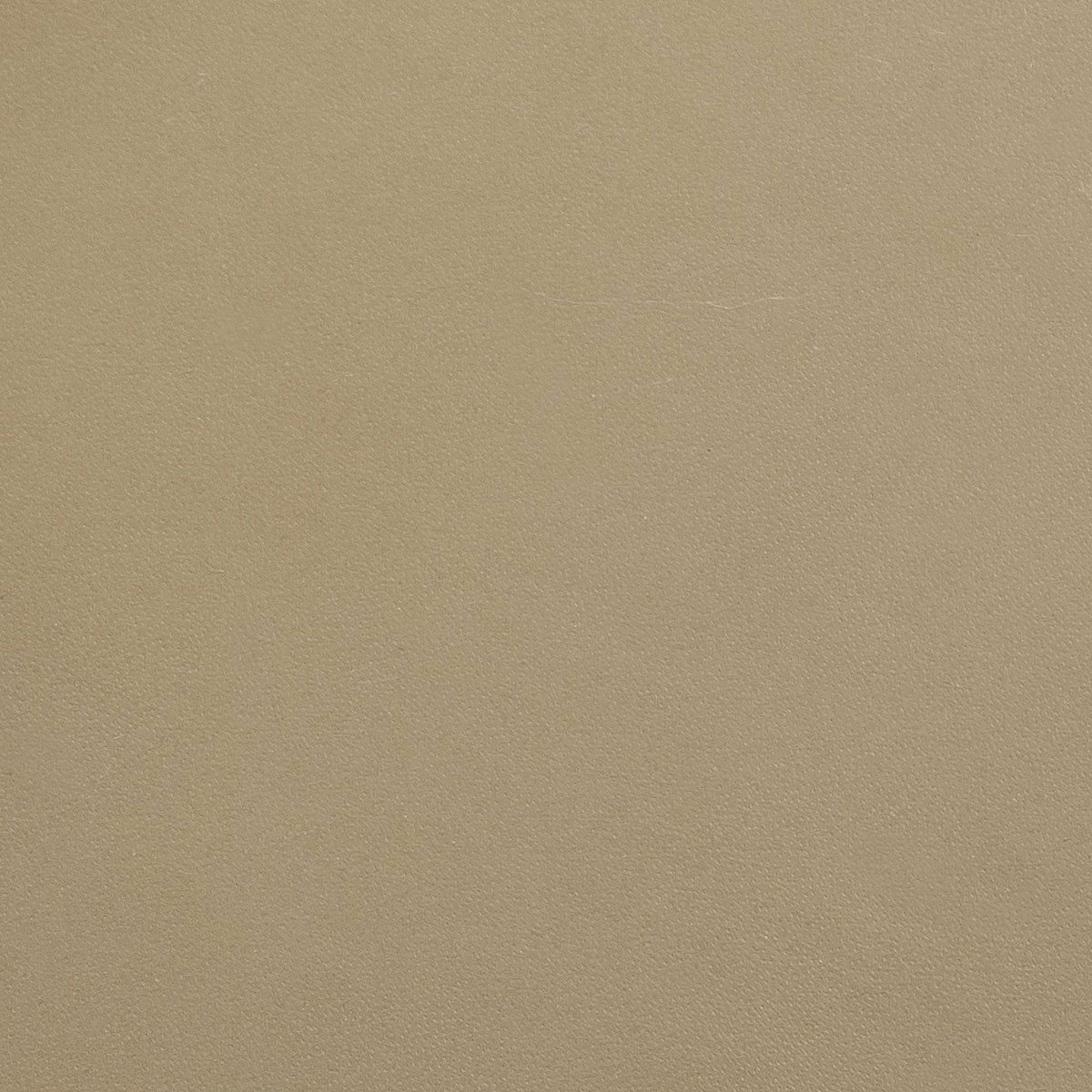 Saddle Executive_ havana