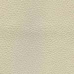 Diva Hide_ Cat V_ 00100