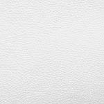 Diva Hide_ Cat V_ 00118