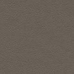 Diva Hide_ Cat V_ 01003