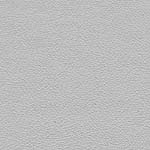 Diva Hide_ Cat V_ 01037