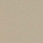 Diva Hide_ Cat V_ 01061