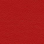 Diva Hide_ Cat V_ 05011