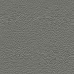 Diva Hide_ Cat V_ 11049-1