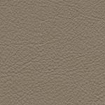 Diva Hide_ Cat V_ 13072