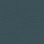 Diva Hide_ Cat V_ 17027