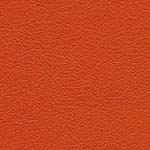 Diva Hide_ Cat V_ 45065