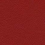 Diva Hide_ Cat V_ 55002