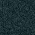 Diva Hide_ Cat V_ 71017