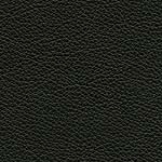 Diva Hide_ Cat V_ 93068