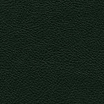 Diva Hide_ Cat V_ 98015