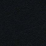 Diva Hide_ Cat V_ 99999