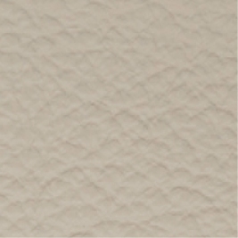 Leather_ 9101 Cemento