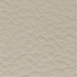 Leather_ 9103 Beige